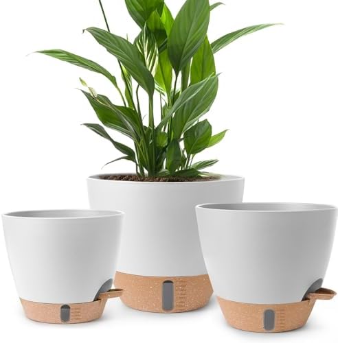 Self Watering Pots for Indoor Plants, 3 Pack 12/10/8 Inch, Large Planter with Water Reservoir, Modern Decorative Flower Pots for Home & Office White by Unknown