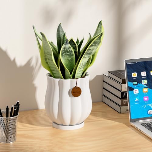 4.7" Matte White Ceramic Plant Pot with Saucer - Image 5