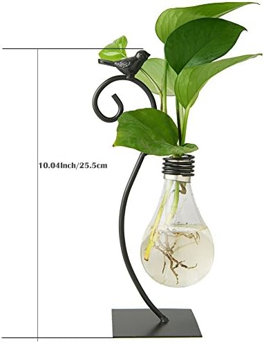 Marbrasse Desktop Glass Planter Hydroponics Vase,Planter Bulb Vase with Holder for Home Decoration,Modern Creative Bird Plant Terrarium Stand, Scindapsus Container (Bulb Vase) - Image 6