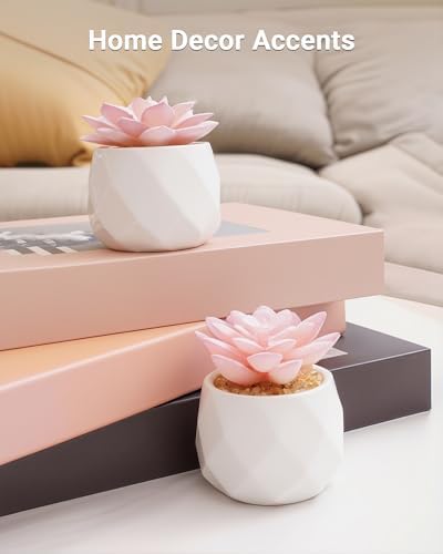 VIVERIE Mini Succulents Plants Artificial in Pots-Pink, Christmas Small Fake Succulents Plants for Home Decor Indoor for Women, White Ceramic Faux Succulents, Set of 2, Gifts for Mom - Image 6
