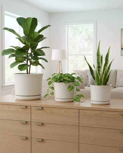 Ceramic Plant Pots, Set of 3, 4.3/5.6/6.9 Inch with Drainage - Image 6