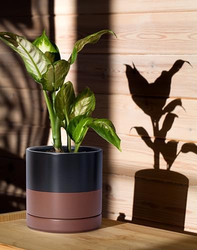 D'vine Dev 6.5 Inch Ceramic Planter Pot, Black/Tan, 94-O-C-7 - Image 2
