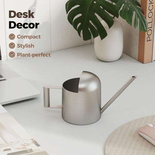 Bamworld Small Watering Can Indoor Outdoor Plant Black Metal Stainless Steel Long Spoutt Flowers Watering Cans for House Garden Plants 10OZ Watering Bottle Cute Stylish Gardening Decoration(Silver) - Image 3