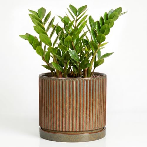 Ceramic Plant Pots, 10 Inch Planter with Tray, Retro Brown by Unknown