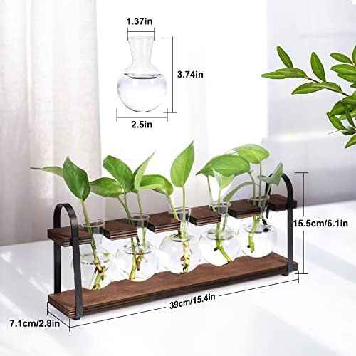 5-Bulb Plant Propagation Station, Glass Vase Terrarium, Wood Metal Stand - Image 4