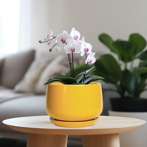 G EPGardening Ceramic Pots for Plants - 7 Inch Plant Pot with Drainage Hole and Saucer, Modern Ceramic Planter for Indoor Outdoor, Round Flower Planter, Gifts for Plants Lovers, Home Decor, Yellow - Image 2