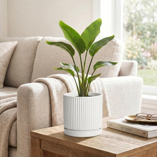 Ceramic Plant Pots 6 Inch, Round Pots for Plants with Tray, White - Image 5
