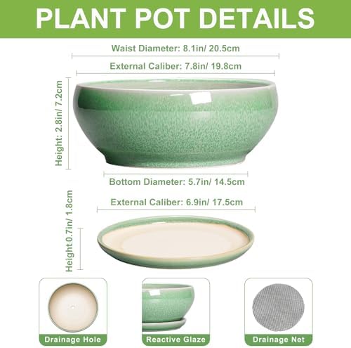 SQOWL Bonsai Planter - 8 Inch Ceramic Succulent Planters for Indoor Plants Outdoor, Shallow Round Planter with Drainage Hole and Saucer, Ceramic Bowl Planters, Home Decor, Birthday Gifts, Green - Image 2