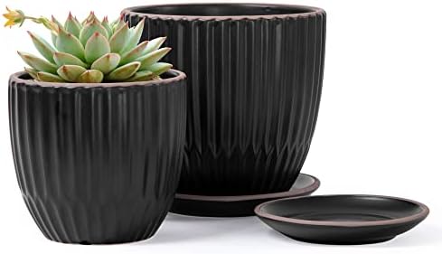 D'vine Dev 2-Pack Stoneware Planter Pots, 4.5/5.8 in, Black, 99-D-2 by DvineDevPlanterPotsandStand
