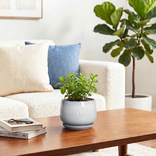 4 Inch Planter - Ceramic Plant Pots for Indoor Plants, Round Succulent Pots with Drainage and Saucer, Decorative Small Planter, Home Desktop Decor, Gardening Gifts for Women, Grey-White - Image 4