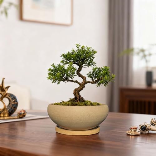 MUZHI 2 Pack 8+6 Inch Plant Pot - Natural Unglazed Ceramic Bonsai Pot with Bamboo Saucer, Large Vintage Clay Shallow Planter Pot with Drainage Hole - Image 7