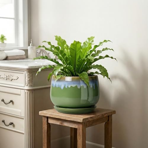 9 Inch Indoor Plant Pots - Ceramic Planters for Indoor Plants, Decorative Planter with Drainage and Saucer, Round Flower Pot, Porch Garden Office Decor, Gardening Gifts for Women, Green-Blue - Image 6