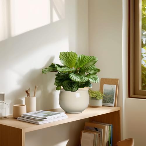 6 Inch Self Watering Pots for Indoor Plants, Ceramic African Violet Pots with Absorbent Inner Pot, Easy Self Watering Planter, Round Ceramic Flower Pot, Patio Decor, Gardening Gifts, Beige - Image 7
