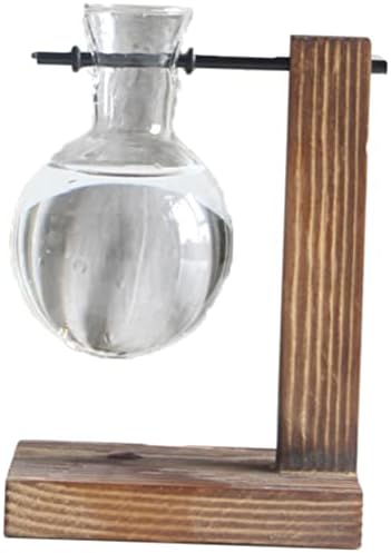Hydroponic Glass Vase with Wooden Stand, Water Planter by VICASKY