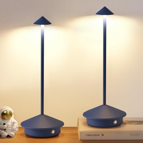 Modern Cordless Table Lamp Set of 2, Blue Portable LED Desk Lamps by NEWSEE