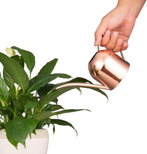 IMEEA Mini Indoor Watering Can for Small Plants, Stainless Steel with Long Spout, 15oz/450ml – Perfect for Desk, Windowsill & Bonsai - Image 4