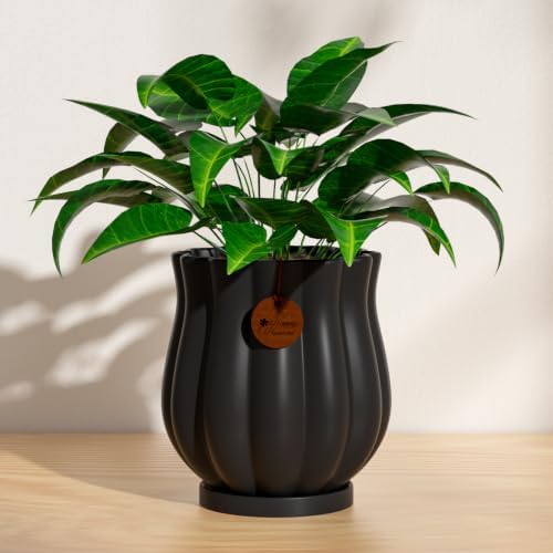 5.8" Matte Black Ceramic Plant Pot with Saucer - Image 4