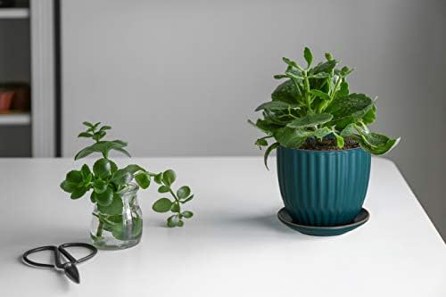 D'vine Dev 2-Pack Stoneware Planter Pots, 4.5/5.8 in, Deep Teal, 99-D-4 - Image 5