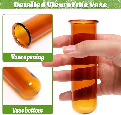 Glass Plant Propagation Station with 5 Test Tubes Colorful Planter Vase - Image 3