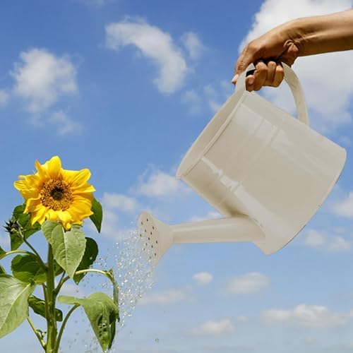 Watering Can Gardening Tool Accessories, Sprinkling Can 1L Metal Flower Garden Watering Can for Outdoor Indoor Plants Lawn Garden (White) - Image 2