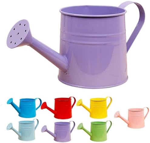 Small Watering Can, 1L Metal Flower Garden Watering Can, Gardening Tool Accessories for Outdoor Indoor Plants Lawn (Purple) by Unknown
