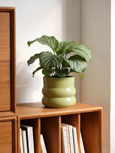 Ceramic Plant Pot,6 Inch Planters for Indoor Plants,Ceramic Planter Flower Pots with Drainage Hole,Home Office Garden Décor,(Green,Inner-pots not Larger Than 5 Inch) - Image 5