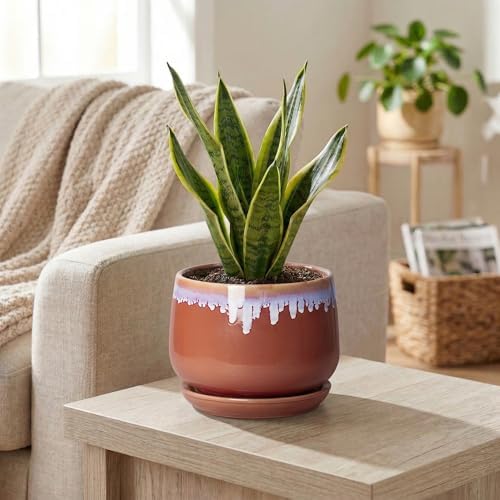 Ceramic Plant Pot - 6 Inch Planters for Indoor Plants, Round Ceramic Planter with Drainage Hole and Saucer, Decorative Small Plant Pots, Room Bookshelf Decor, Red-Purple - Image 5