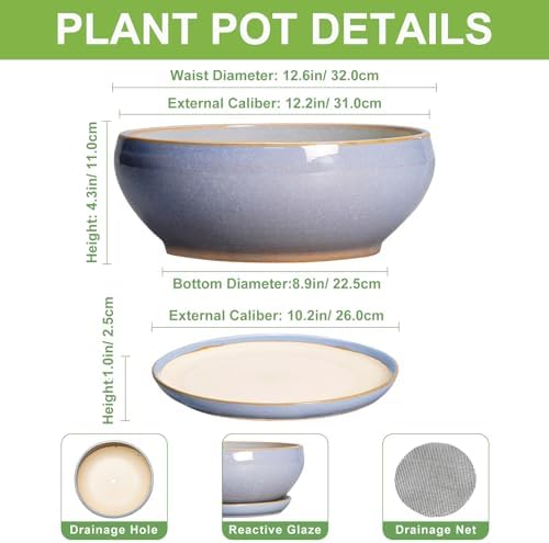 SQOWL 12 Inch Bonsai Pots - Shallow Ceramic Planter for Indoor Plants Outdoor, Large Succulent Pots with Drainage Hole and Saucer, Round Planter Bowl, Porch Decor, Gifts for Plant Lover, Blue - Image 2