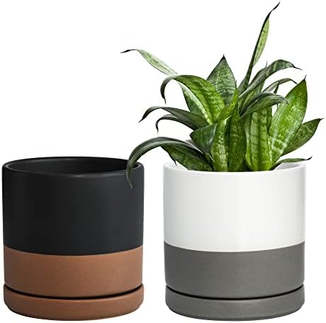 D'vine Dev Set of 2 Plants Pots, 6 Inch Ceramic Planter Pot for Plants with Drainage Hole and Saucer, White-Grey/Black-Tan, 94-V-C-C by DvineDevPlanterPotsandStand