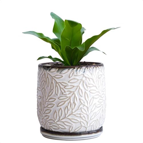D'vine Dev Embossed Leaves Ceramic Planter, 5 in, Smoked White, 27-A-V-1 by DvineDevPlanterPotsandStand