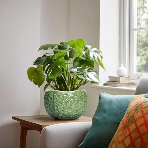 8 Inch Plant Pot - Ceramic Pots for Plants with Drainage Hole, Round Decorative Plant Pots for Indoor Outdoor, Modern Unique Flower Pot, Office Decor, Garden Gifts, Green - Image 3