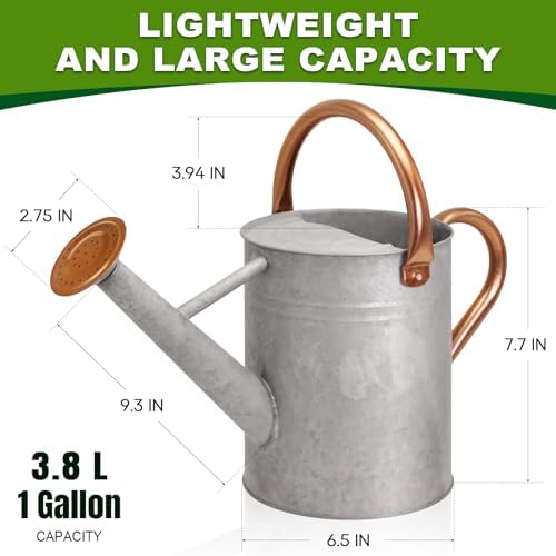 Metal Watering Can with Removable Spout, Galvanized Watering Can, Perfect for Indoor Use and for Outdoor Use (1 Gallaon, Zinc) - Image 2