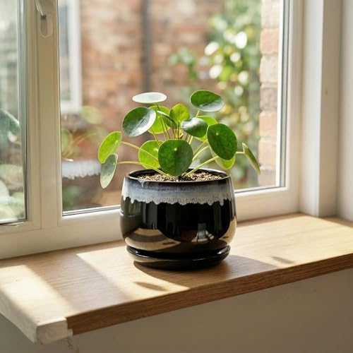 6 Inch Plant Pot - Ceramic Planters for Indoor Plants, Decorative Planter with Drainage Hole and Saucer, Round Flower Pots, Office Patio Decor, Gifts for Gardeners Woman, Black-Blue - Image 3