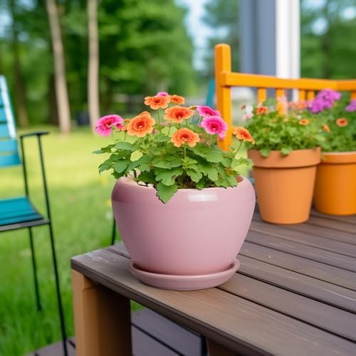 Ceramicfor 6 Inch Plant Pot - Ceramic Pot for Indoor Plants, Glaze Modern Decorative Round Ceramic Planter with Drainage Hole and Saucer, Plant Lover Gifts, Home Garden Room Office Decor, Pink - Image 4