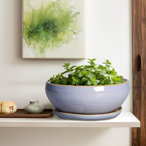 SQOWL 12 Inch Bonsai Pots - Shallow Ceramic Planter for Indoor Plants Outdoor, Large Succulent Pots with Drainage Hole and Saucer, Round Planter Bowl, Porch Decor, Gifts for Plant Lover, Blue - Image 5