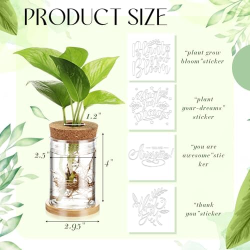 Baderke 12 Pack Plant Propagation Jars Cork Lids Bamboo Stand,Awesome - Image 2