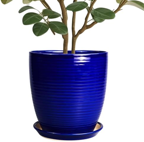 Ceramic Planter Pot - 10 Inch Plant Pot Indoor with Drainage Hole and Saucer Round Planter Large Modern Decorative Flower Pot Outdoor Garden Pot Blue by EPFamily