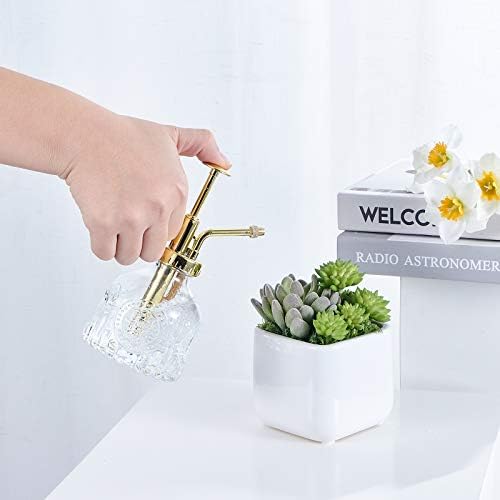 Glass Plant Mister Spray Bottle, Vintage Succulent Water Sprayer with Golden Top Pump, Small Sprayer Mister for Indoor Outdoor House Plants - Clear - Image 6