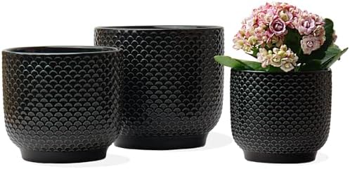 4 + 5 + 6 Inch Ceramic Pots for Indoor Plants, Succulents Plant Pots, Orchid Flower Pot with Drainage Hole, Modern Clay Stoneware Planters, Set of 3 (Black, 4+5+6 Inch) by Homephyte