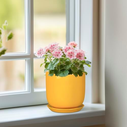 Plant Pot 5 Inch - Modern Round Indoor Ceramic Planter with Drainage Hole and Tray for Succulent Cactus Herbs Plants, Home House Garden Office Decor, Yellow - Image 2