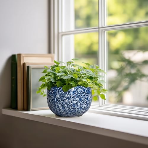 Orchid Pot - 6 Inch Ceramic Plant Pot for Indoor Outdoor, Round Unique Planters with Drainage Hole, Modern Round Decorative Flower Pots, Home Decor, Gifts for Plant Lovers, Blue - Image 3