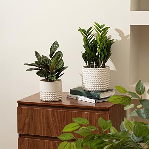 LA JOLIE MUSE Ceramic Plant Pots, Flower Pots for Indoor Plants, Set of 2 - Image 4