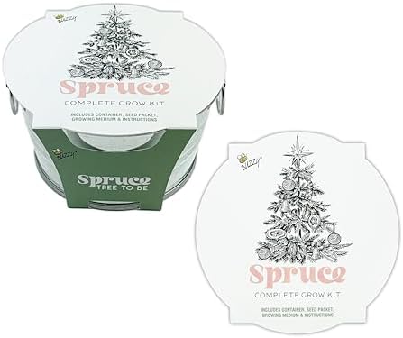 Buzzy Seeds Spruce Christmas Tree Grow Kit, Galvanized Basin Planter by BUZZY