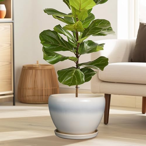 Ceramicfor 10 Inch Ceramic Planter Pot, Cream White - Image 2