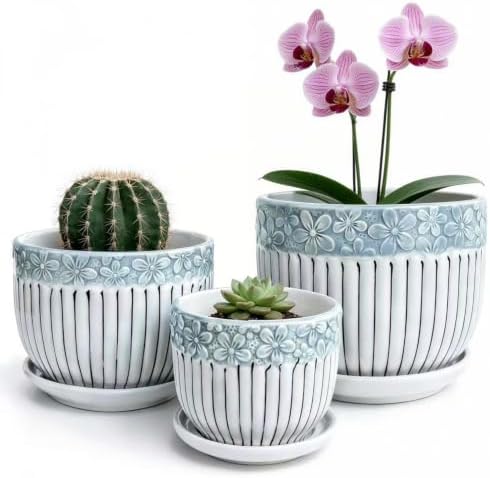 Vintage Flower Pots for Indoor Plant, Round Ceramic Plant Pots with Drainage Holes and Saucers, 6.7/5.2/3.9 Inches Retro Flower Planters Set of 3 by FOLKLORE13