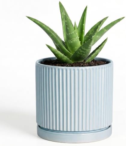 4 Inch Plant Pots, Ceramic Pots for Plants with Saucer, Light Blue by Unknown