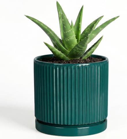 4 Inch Ceramic Pots for Plants, Plant Pots with Tray, Blackish Green by Unknown
