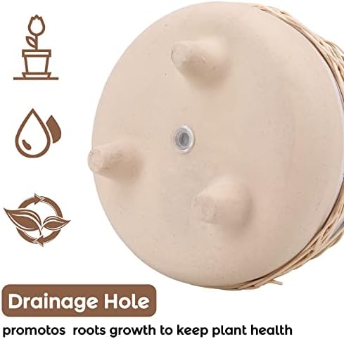 Ceramic Planter Pot for Indoor & Outdoor Plant, Flower - Image 4