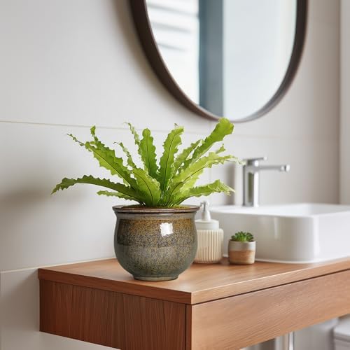 Self Watering Planters for Indoor Plants, 6 Inch Ceramic African Violet Pots with Absorbent Inner Pot, Ceramic Plant Pot, Round Flower Pots, Bathroom Decor, Housewarming Gifts, Yellowish Brown - Image 5