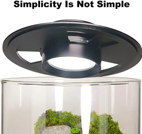 Desktop Glass Plant Terrarium with Grow Light for Carnivorous Plants & Moss - Image 3